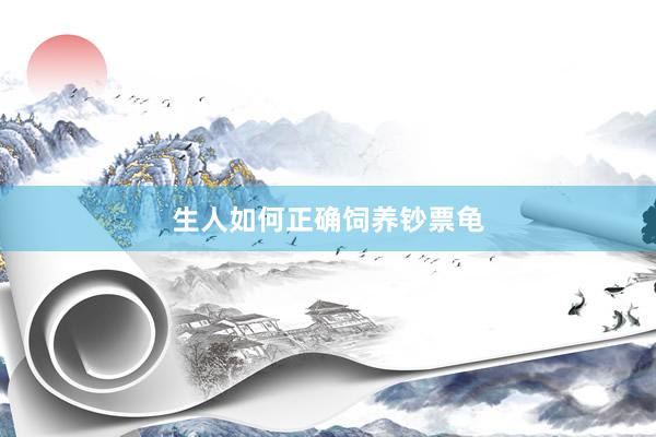 生人如何正确饲养钞票龟