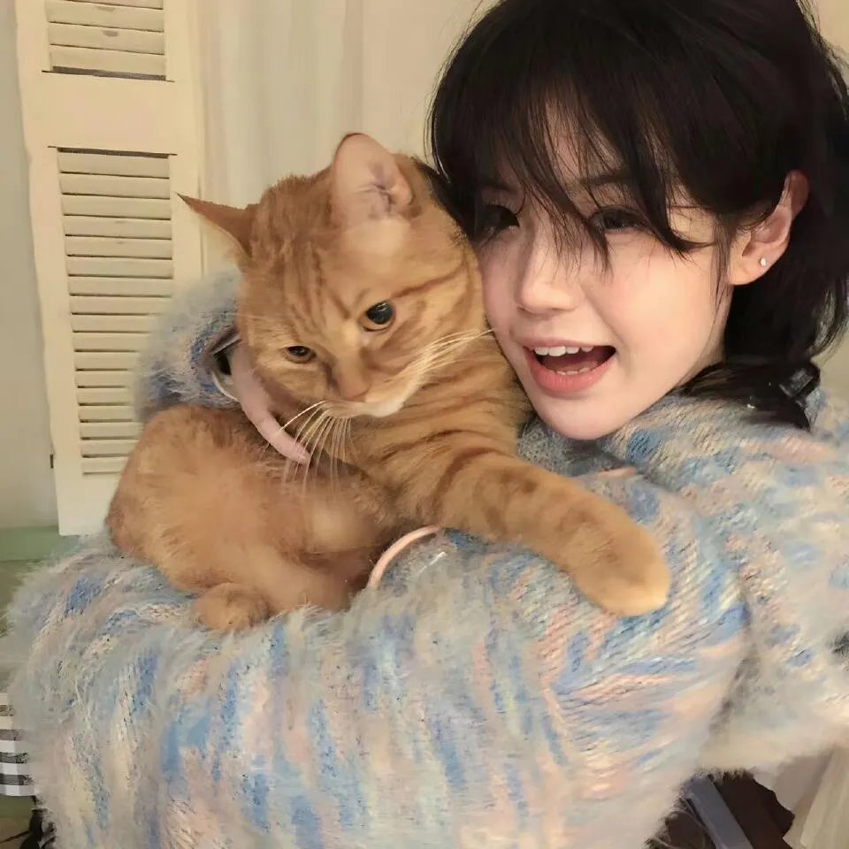 白茶清欢无别事